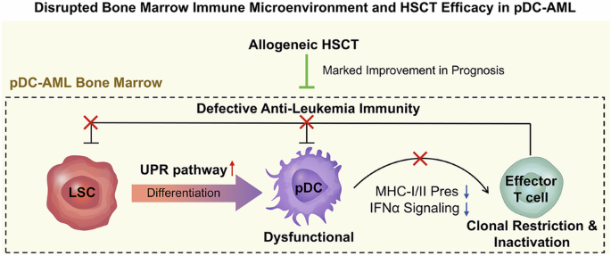 Endoplasmic reticulum stress promotes leukemic plasmacytoid dendritic cell differentiation skewing and immune suppression in acute myeloid leukemia Endoplasmic reticulum stress promotes leukemic plasmacytoid dendritic cell differentiation skewing and immune suppression in acute myeloid leukemia