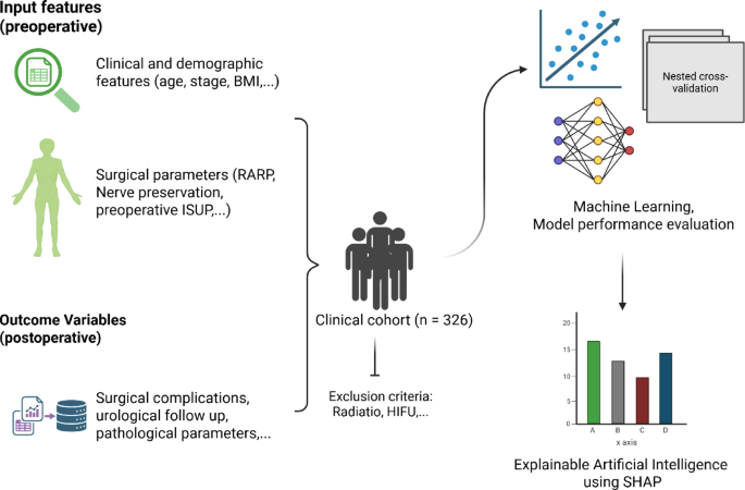 Explainable artificial intelligence reveals key surgical parameters in robot-assisted and open radical prostatectomy Explainable artificial intelligence reveals key surgical parameters in robot-assisted and open radical prostatectomy