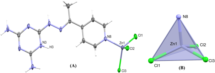 Monomeric Zn(II) and 3D polymeric Ag(I) complexes with a cationic s-triazine hydrazone-based ligand; synthesis, structure, coordination behavior and biological studies Monomeric Zn(II) and 3D polymeric Ag(I) complexes with a cationic s-triazine hydrazone-based ligand; synthesis, structure, coordination behavior and biological studies