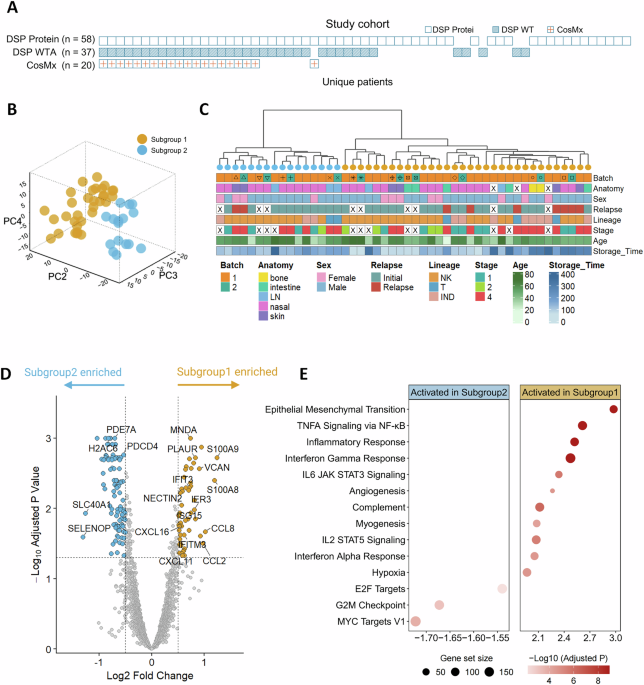 Multimodal spatial profiling reveals distinct myeloid-defined ENKTL subgroups and tumor-myeloid cooperativity within prognostic inflammatory niche Multimodal spatial profiling reveals distinct myeloid-defined ENKTL subgroups and tumor-myeloid cooperativity within prognostic inflammatory niche