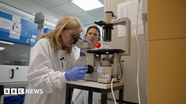 A white woman, with fair shoulder-length hair looks into a microscope in a laboratory. She is wearing a white lab coat and blue latex gloves. Her colleague observes in the background.