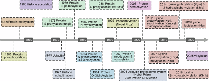 Post-translational modifications in metabolic reprogramming: implications for metabolic therapy and immunotherapy in cancer Post-translational modifications in metabolic reprogramming: implications for metabolic therapy and immunotherapy in cancer