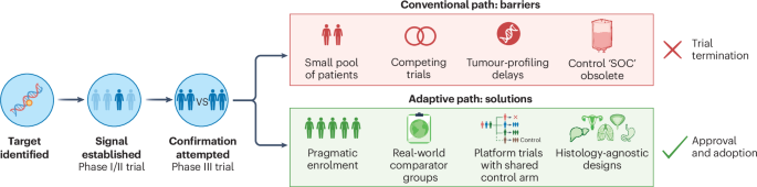 Precision oncology needs precision trial design: lessons from FGFR2-rearranged cholangiocarcinoma Precision oncology needs precision trial design: lessons from FGFR2-rearranged cholangiocarcinoma
