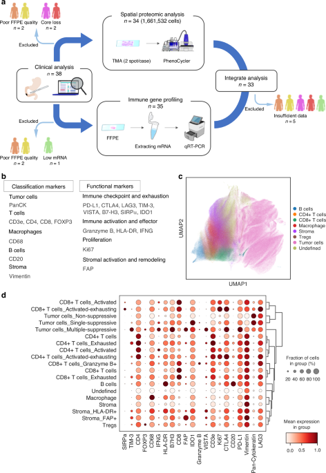 Spatial proteomics deciphers the immune niche landscape of non-ampullary duodenal adenocarcinoma Spatial proteomics deciphers the immune niche landscape of non-ampullary duodenal adenocarcinoma