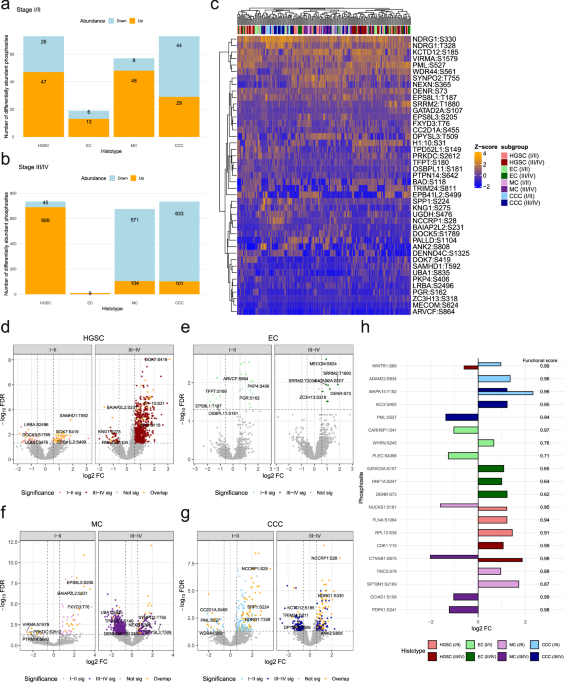 The phosphoproteome of ovarian carcinoma delineates signaling signatures and potentially druggable targets across histotype stages The phosphoproteome of ovarian carcinoma delineates signaling signatures and potentially druggable targets across histotype stages