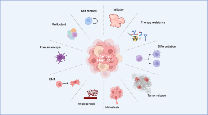 Translational insights and clinical challenges of targeting cancer stem cells Translational insights and clinical challenges of targeting cancer stem cells