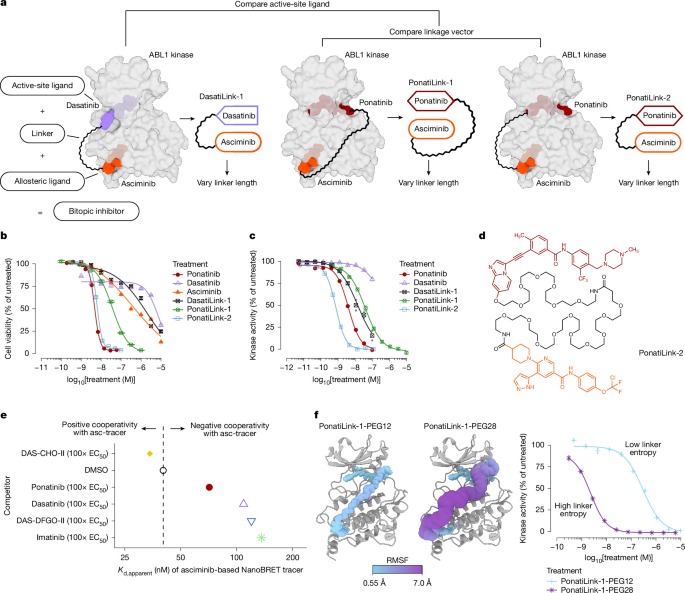A design approach for bitopic kinase inhibitors A design approach for bitopic kinase inhibitors