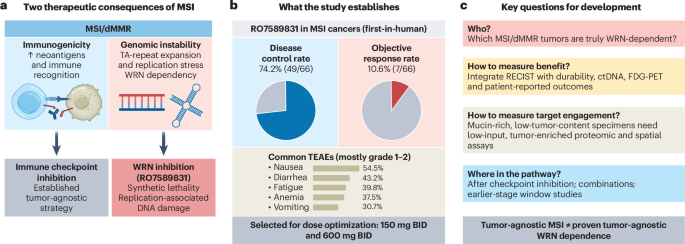 A synthetic lethal drug for microsatellite instability cancers A synthetic lethal drug for microsatellite instability cancers