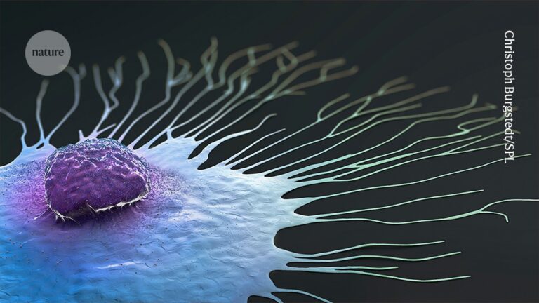 AI model predicts which breast-cancer drugs work best AI model predicts which breast-cancer drugs work best