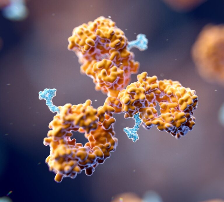 An antibody–drug conjugate for small-cell lung cancer
