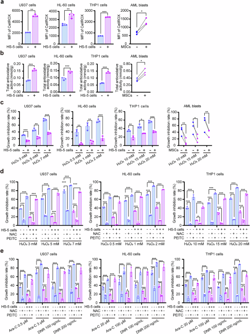 Bone marrow stromal cells promote chemoresistance in acute myeloid leukaemia through P2RX7-mediated antioxidant defence Bone marrow stromal cells promote chemoresistance in acute myeloid leukaemia through P2RX7-mediated antioxidant defence