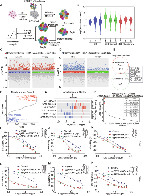 CRISPR/Cas9 screening revealed BIRC6-AS1/BIRC6 mediates abiraterone resistance via NHEJ pathway-dependent A20 degradation in prostate cancer CRISPR/Cas9 screening revealed BIRC6-AS1/BIRC6 mediates abiraterone resistance via NHEJ pathway-dependent A20 degradation in prostate cancer