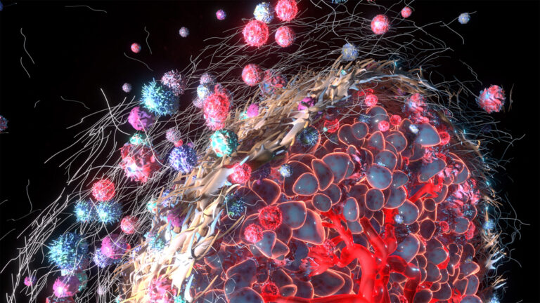 Form follows function: decoding pancreatic cancer - Cancer Research UK