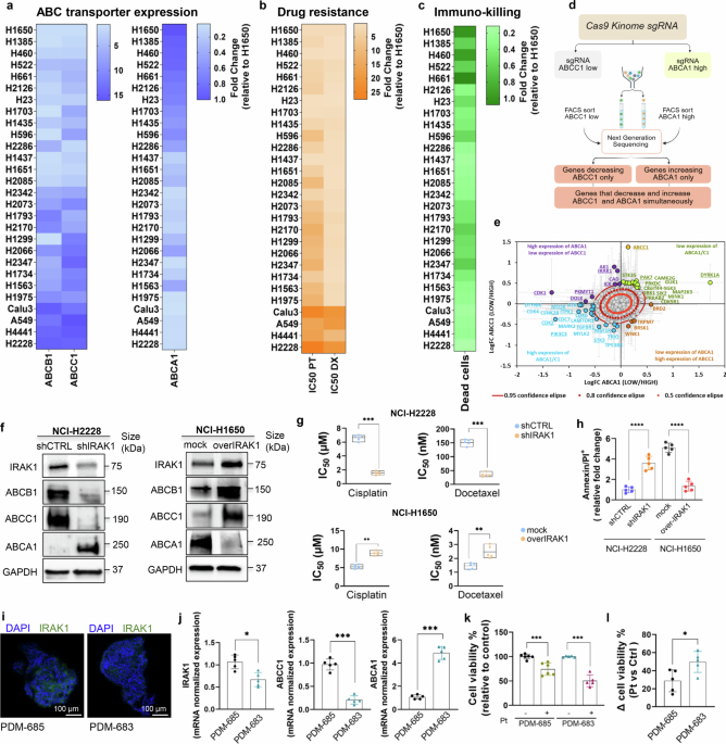 Interleukin-1 receptor-associated kinase 1 controls chemoresistance and immuno-killing in non-small cell lung cancer Interleukin-1 receptor-associated kinase 1 controls chemoresistance and immuno-killing in non-small cell lung cancer