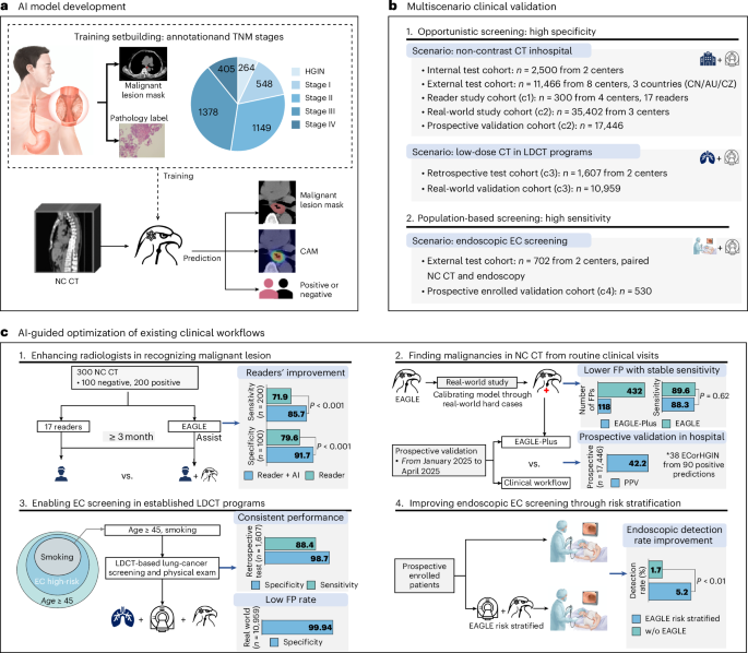 Large-scale esophageal cancer screening through noncontrast computed tomography and artificial intelligence Large-scale esophageal cancer screening through noncontrast computed tomography and artificial intelligence