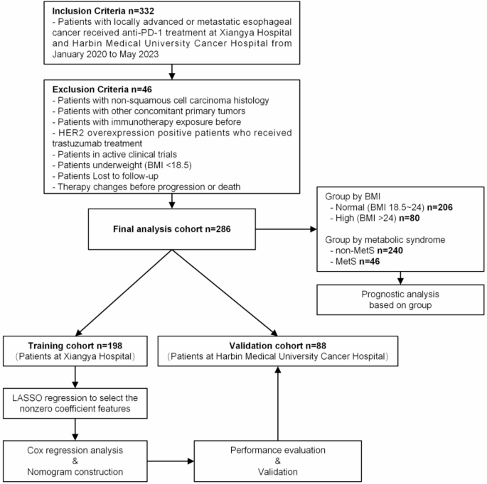 Metabolic predictors of response to immunotherapy in locally advanced or metastatic esophageal cancer: unveiling the obesity paradox Metabolic predictors of response to immunotherapy in locally advanced or metastatic esophageal cancer: unveiling the obesity paradox