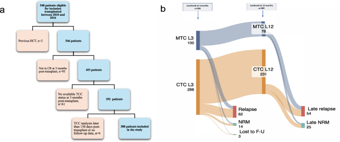 Mixed T-cell chimerism at 3 months predicts late relapse in acute myeloid leukemia after allogeneic stem cell transplantation Mixed T-cell chimerism at 3 months predicts late relapse in acute myeloid leukemia after allogeneic stem cell transplantation