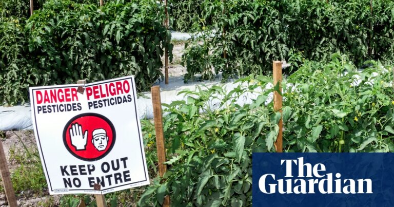 New research finds 485 chemicals in US pesticide products linked to breast cancer | US news New research finds 485 chemicals in US pesticide products linked to breast cancer | US news