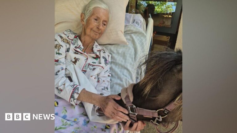 A resident of Deerhurst Care Home wearing a striped T-shirt, with white hair. The resident strokes the nose of a small brown pony in an outdoor communal area.