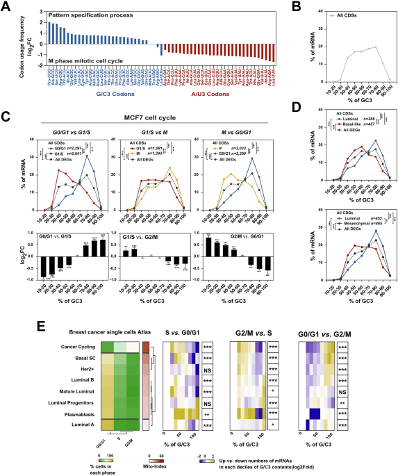 Synonymous codon usage shapes ERα function through specialized translational programs during breast cancer progression Synonymous codon usage shapes ERα function through specialized translational programs during breast cancer progression
