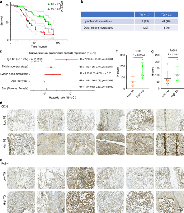 Triglyceride enhancs NSCLC metastasis via lipid β-oxidation by RhoA-driven cytoskeletal remodeling in ECM-constrained microenvironments Triglyceride enhancs NSCLC metastasis via lipid β-oxidation by RhoA-driven cytoskeletal remodeling in ECM-constrained microenvironments